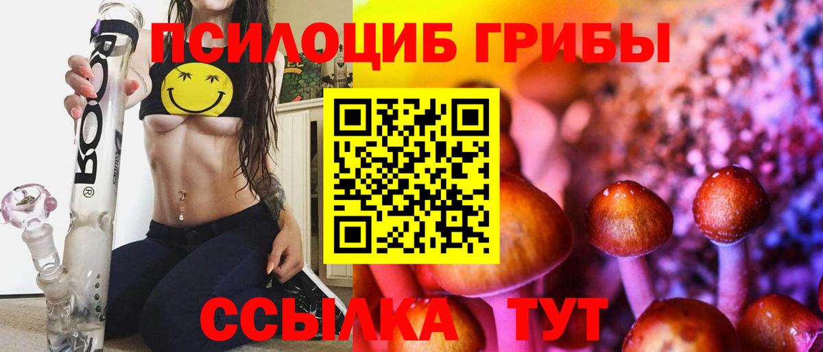 Железногорск  Галлюциногенные грибы Cubensis  Вход с VPN 